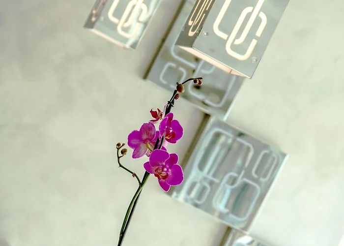 Ξενοδοχείο Simon